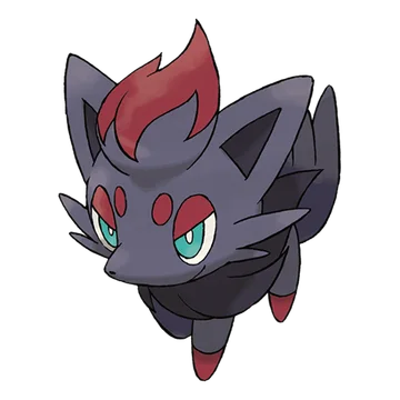 Zorua