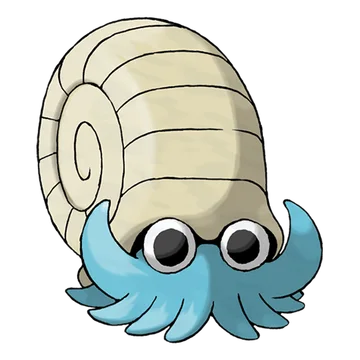 Amonita